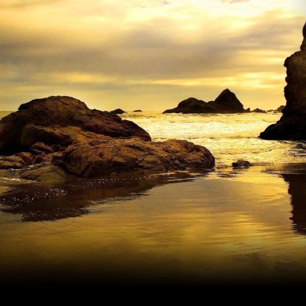 WilliamWesley15's profile picture. #FollowNow #InstantFollowBack #FollowBack #FollowBackTour  #IFollowAll