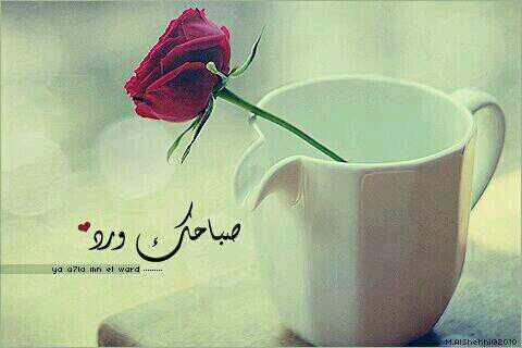 محذوف الحساب
