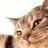 shaieym's profile image