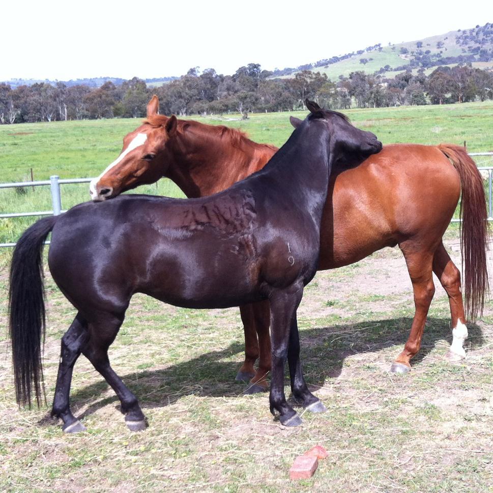 janewhedges's profile picture. 