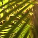 Katrina Paul - @katrinapaul1973 - Twitter