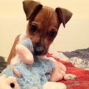 Hannah Minton - @HannahTheMint - Twitter