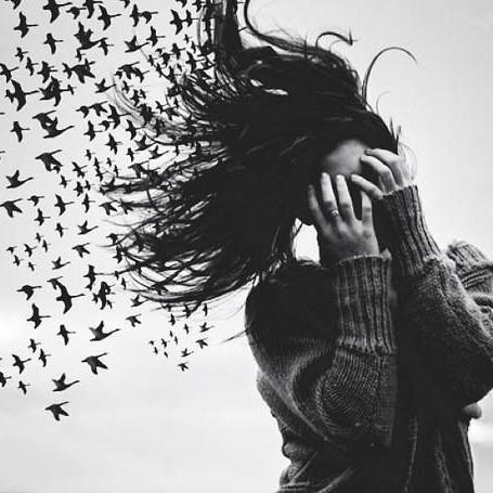 dzeltens's profile picture. Ja sviestu sviestu griestos,tad tas grieztos.