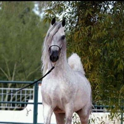 ربّنا ماخلقت هذا باطلاً سبحانك ، فقنا عذاب النار