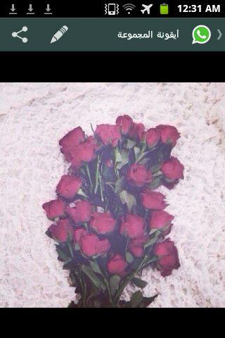 ربي حقق كل مااحلم به ♡