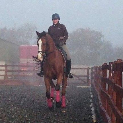 HBParaDressage's profile picture. Official Twitter for Heather Bennett, one of seven para dressage riders selected for the 2019 - 21 World Class programme - Podium Potential Squad