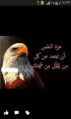 اني احبكم قي الله