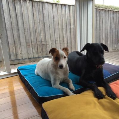 cvaldes29's profile picture. 