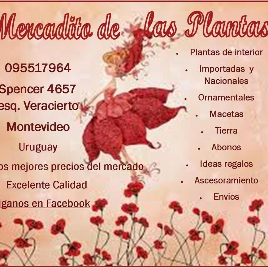 Mercadito de las Plantas