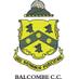 Balcombe CC (@BalcombeCC) Twitter profile photo