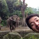 Tanya Marks - @hf35aro - Twitter