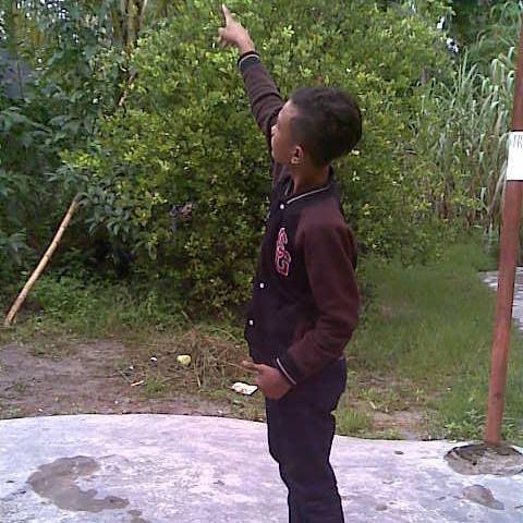 HendraMatupang's profile picture. 