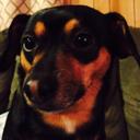 Andrew Flint - @thethreeflints - Twitter