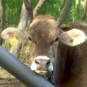 deu9233's profile picture. わたしだ。