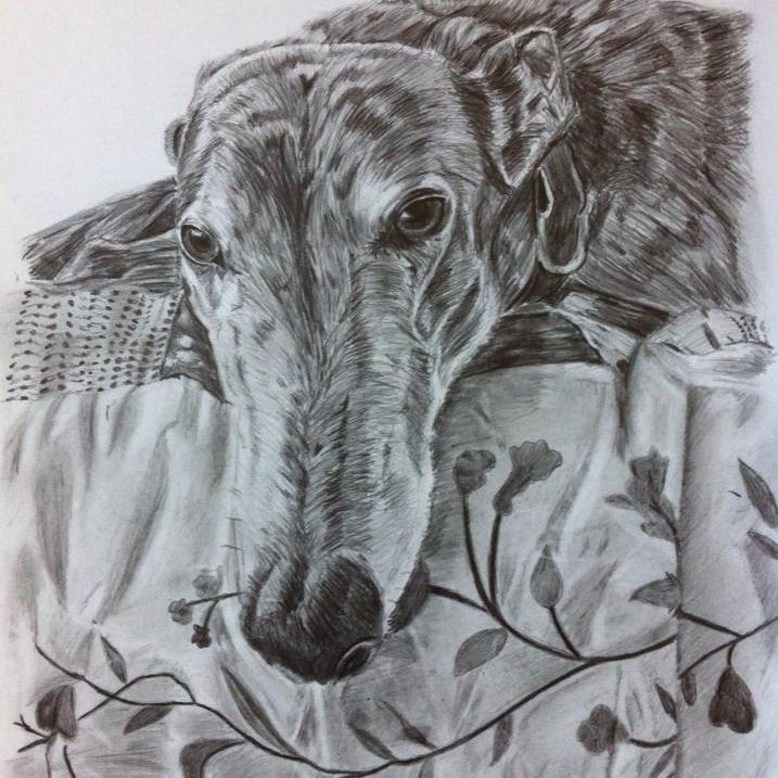 I am a self taught artist who specialises in drawing pet portraits in pencil.