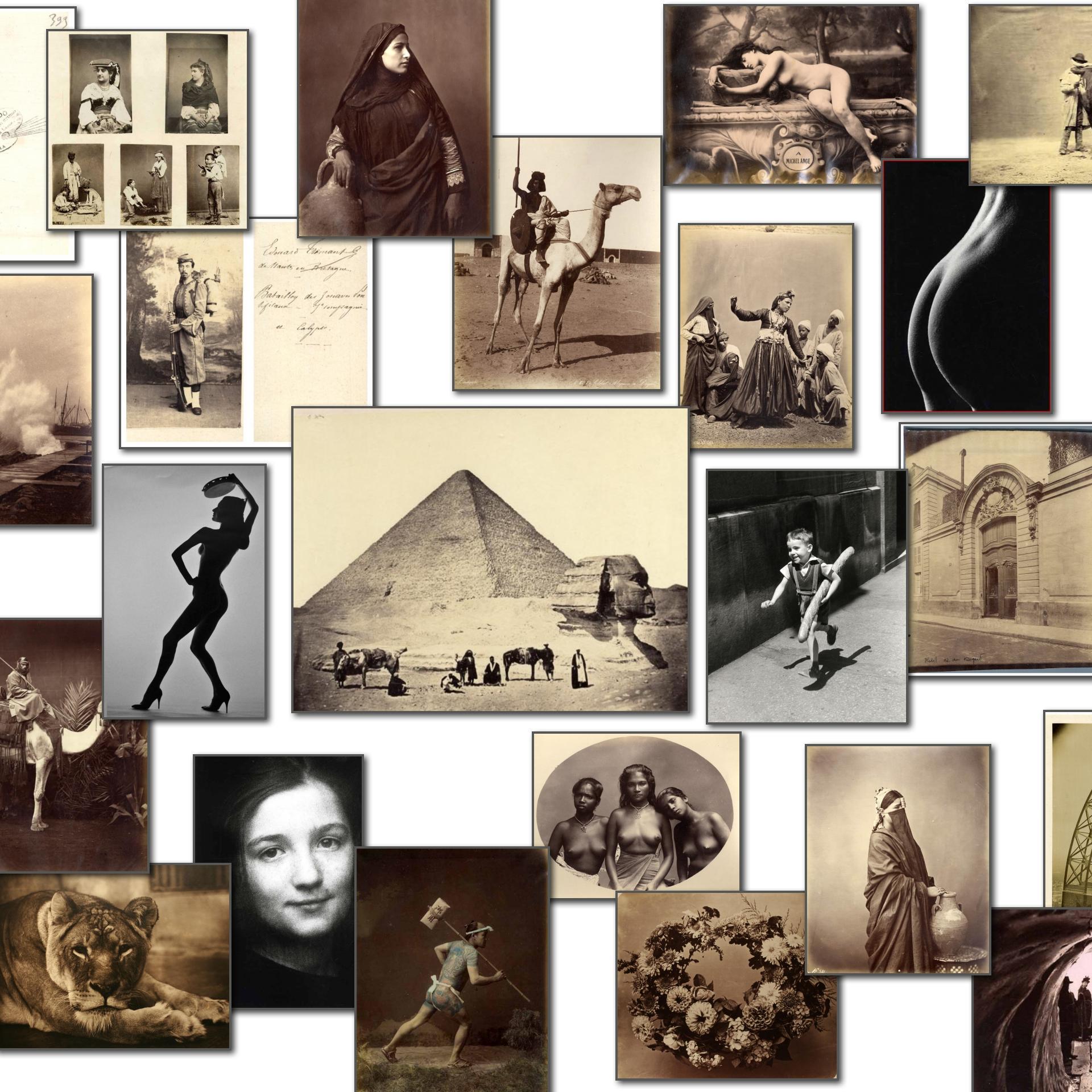 tartarinbruno's profile picture. 