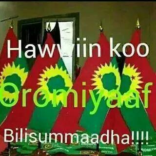 MisbahUsmail's profile picture. Allah is the only one who matters to me
