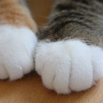 mawoxpu's profile picture. 