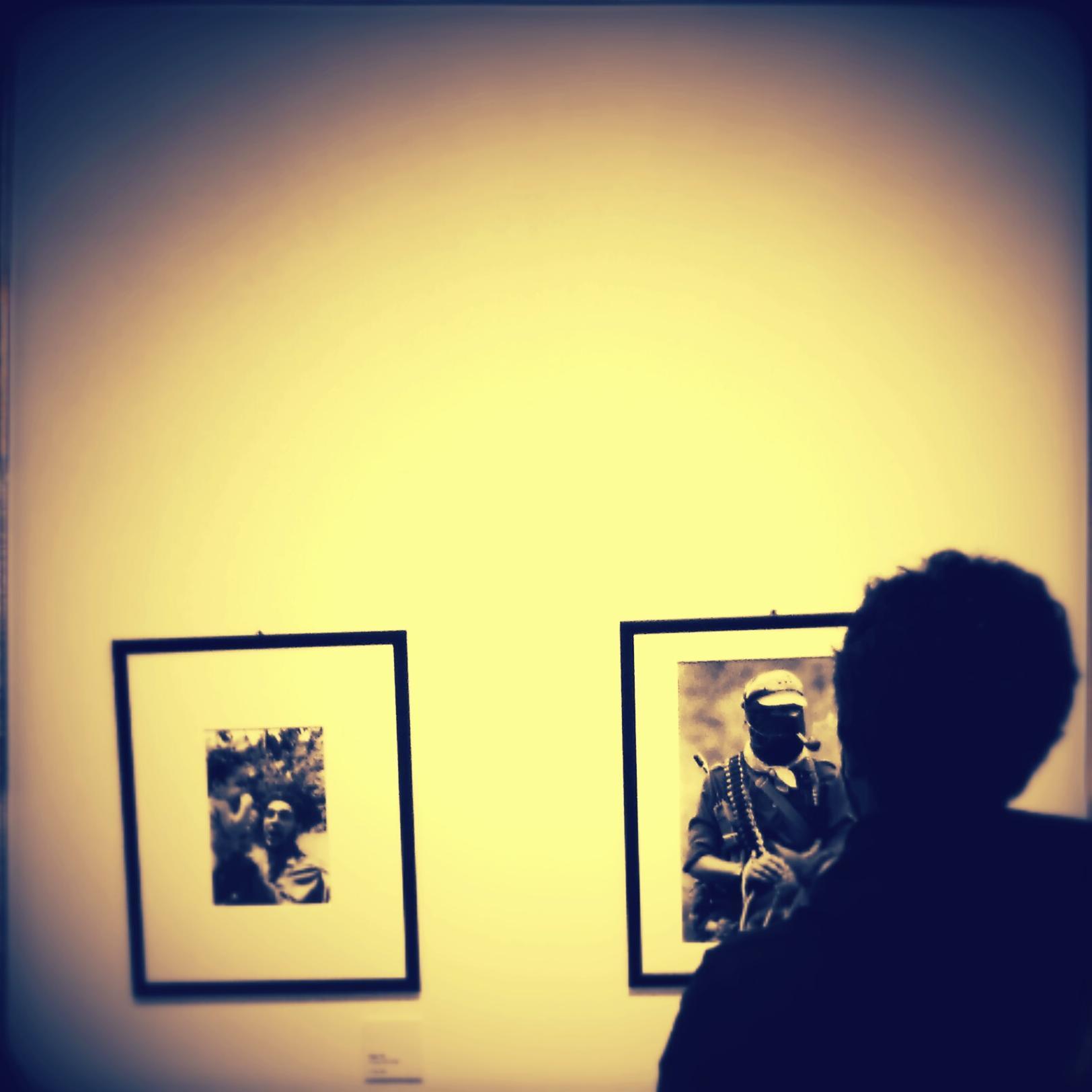 pietroimperato's profile picture. 