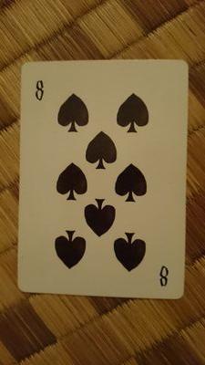 plant_a_day's profile picture. 音楽。シュルレアリスム。ロートレック。植田正治さん。ミュシャ。W_Phantom