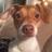 evaihalmstad's profile image