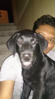 MSathvara's profile picture. civil engineer