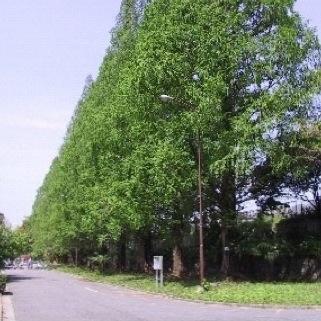 遥か昔に成人済み社会人。DM解放中。