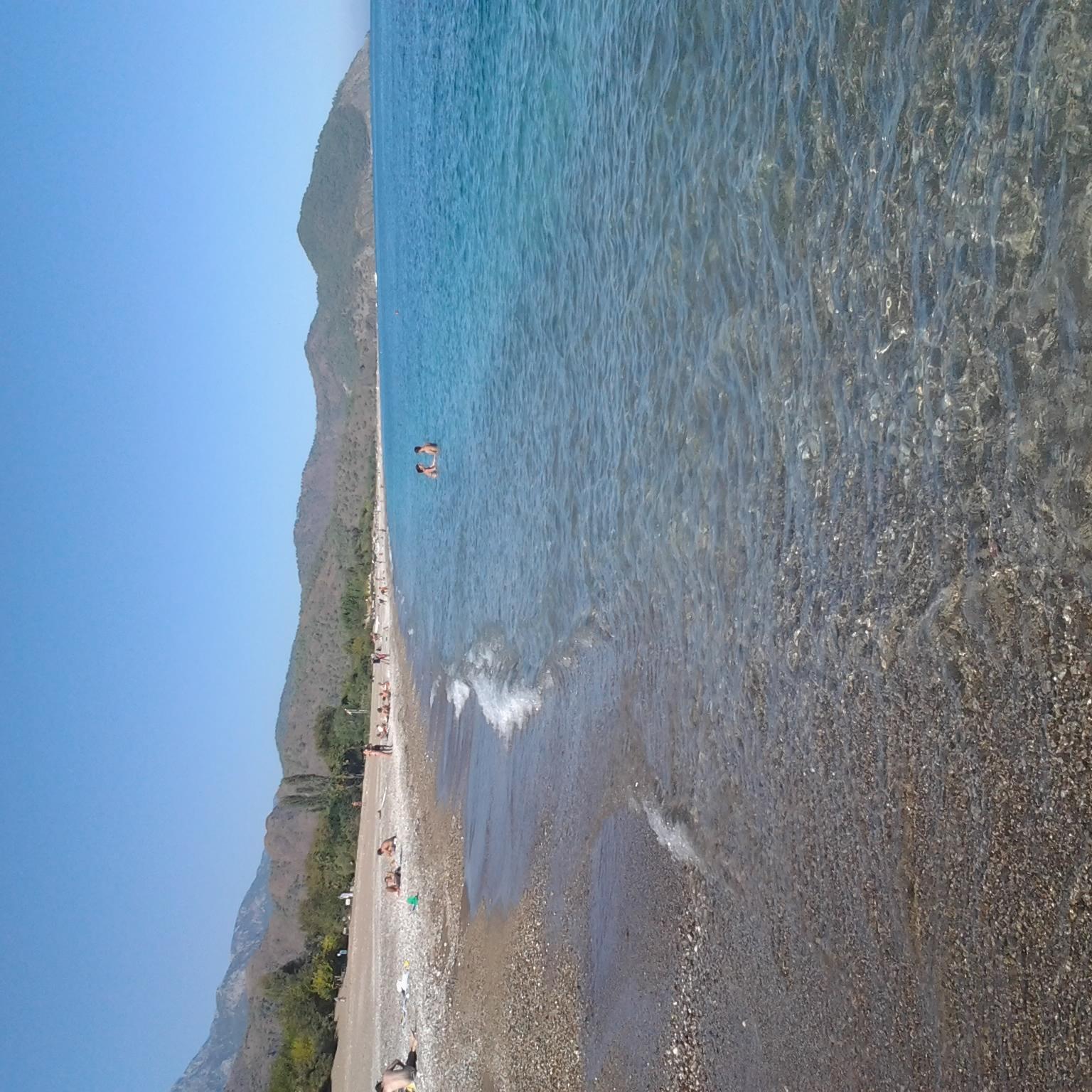 DemirelZilan0's profile picture. 