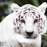 antunes4512_val's profile picture. 