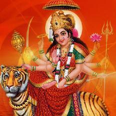 President Of Vedic Sanskar Prakosth Of All Rajasthan Brahmin Mahasabha