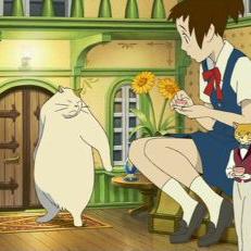 吉岡ハル Yosiokaharu Bot Twitter