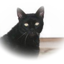 JUDITH LADSON - @booandjj2 - Twitter