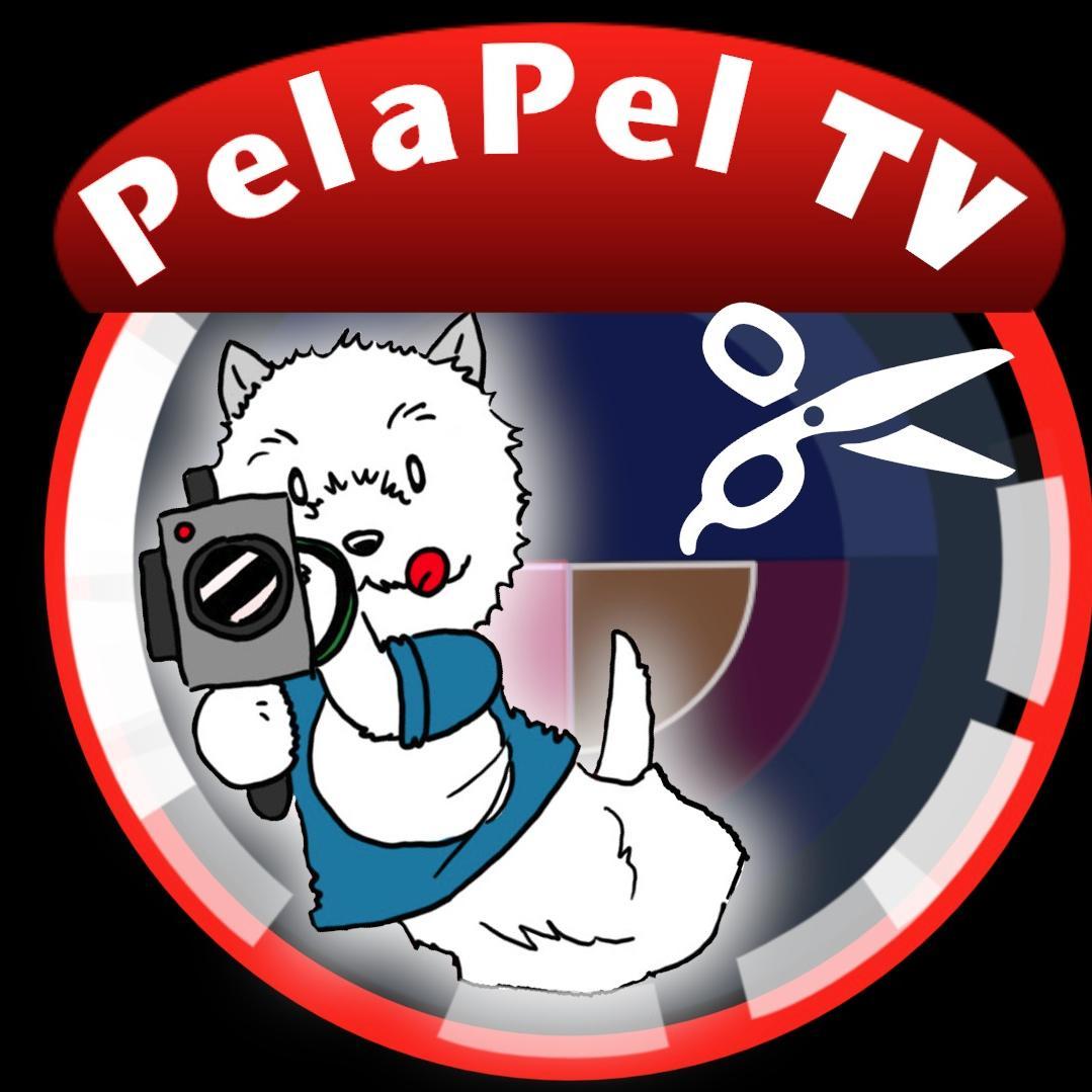 El canal de videos sobre el mundo de la peluquería canina en formato HD.