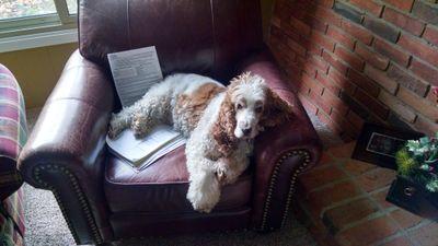 ed823c3f3b244a2's profile picture. 