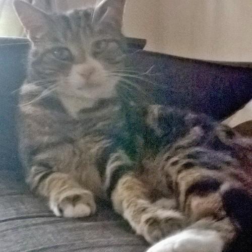 EducateIndesign's profile picture. Learning technologist|Certified Online Facilitator|elearning developer|Educator| Develop course curriculums, research & promote new technologies.  Keen swimmer.