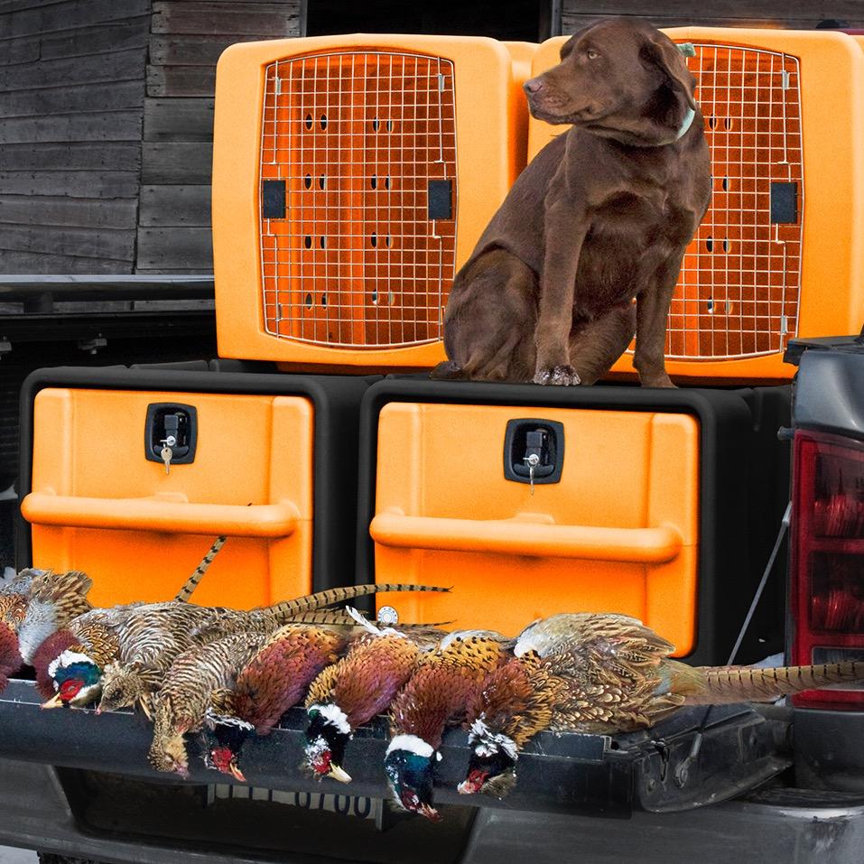 Dakota_283's profile picture. 