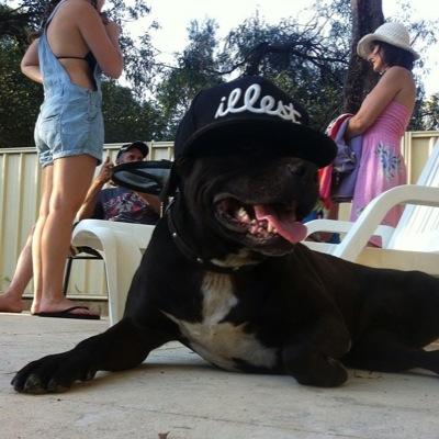 officaljack279's profile picture. follow for follow ❤️