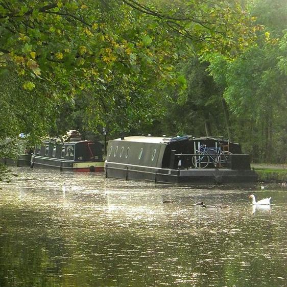 An ambitious volunteering project aiming to rebuild canal moorings at Stubbings Wharf, Hebden Bridge