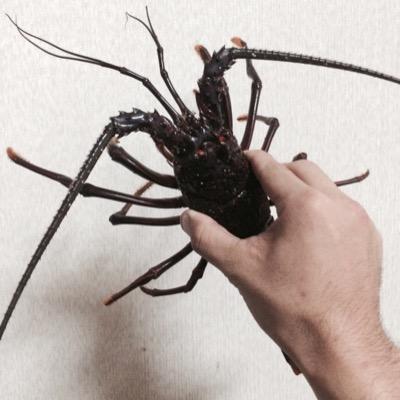 yukiehks's profile picture. 使い方まったくわからない（笑）