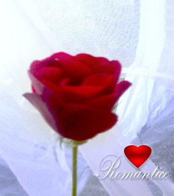 6beef7797fe8492's profile picture. usaha xgrafi ,gypsum&furniture