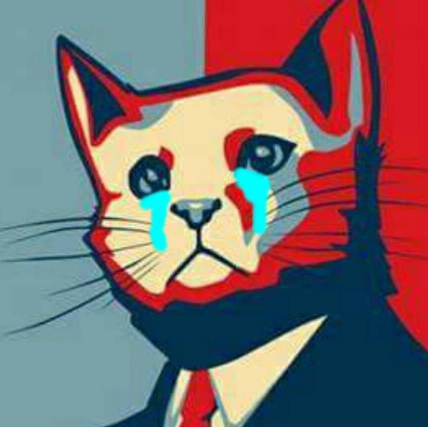 erhangulsumm's profile picture. 