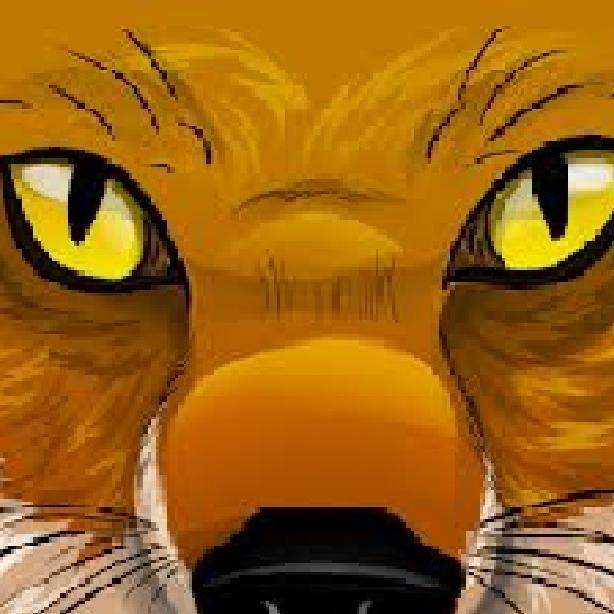 UnifoxGaming's profile picture. 