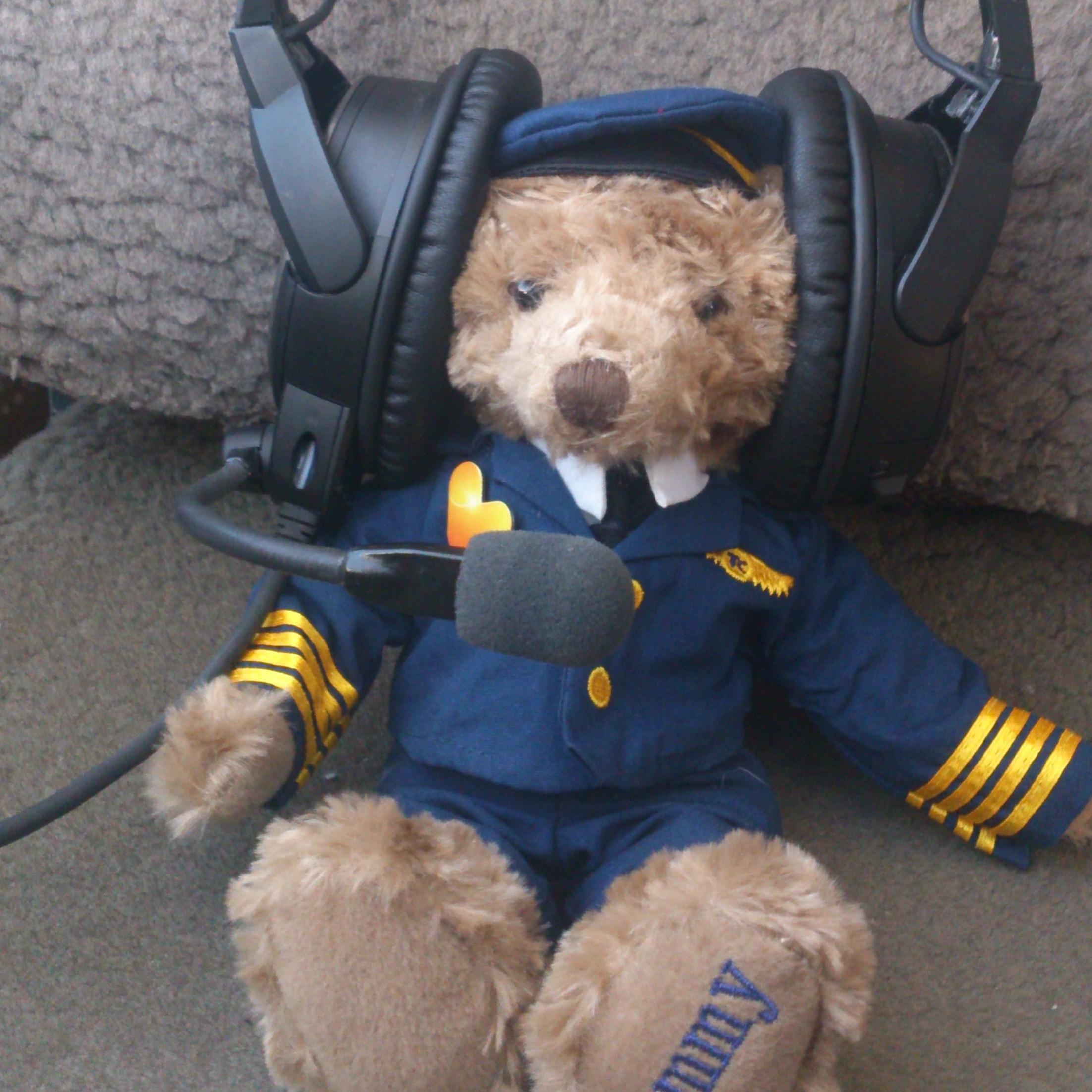 I'm just a bear who loves to travel! Follow my adventures around the world. Brand representative for @TCAirlinesUK. Views are my own!