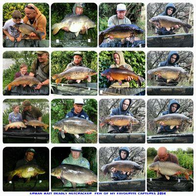 bait tester for urban baits  deception angling  godmanpva and on the danglers nation team love my family and carp fishing
