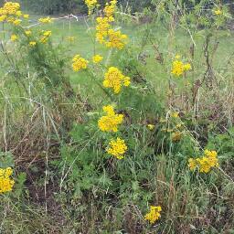 WerffJohn's profile picture. 