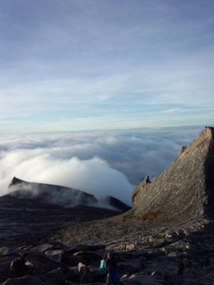 kiyoshirou0911s's profile picture. 誤字多いです。DMはビビってるんで返信しない気がする。 文字制限を逆に楽しんでます！