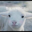 귀욤 (@000swan000) Twitter