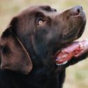 raul rizzo - @Raulrizzo13Raul - Twitter