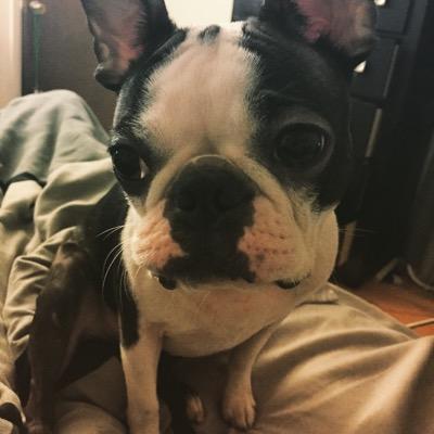 giirlygiirl's profile picture. ghghh