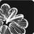 loesshillsflr's profile image